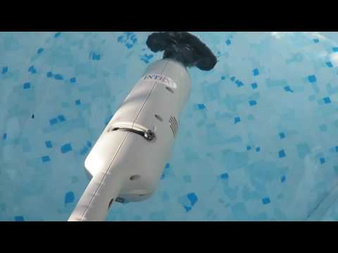 Intex Akku Poolsauger Test