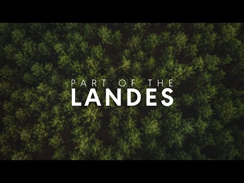 THE LANDES | 4K TRAVEL 🌲