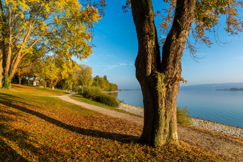 1-sup-spot-bodensee