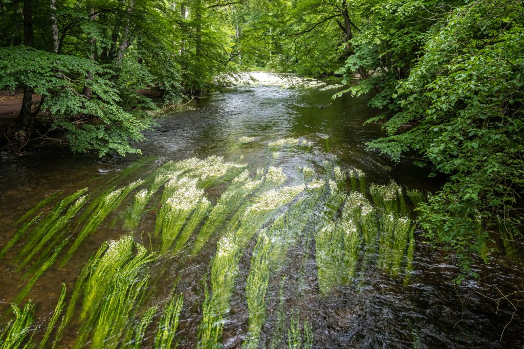 8-sup-spot-leutstetten