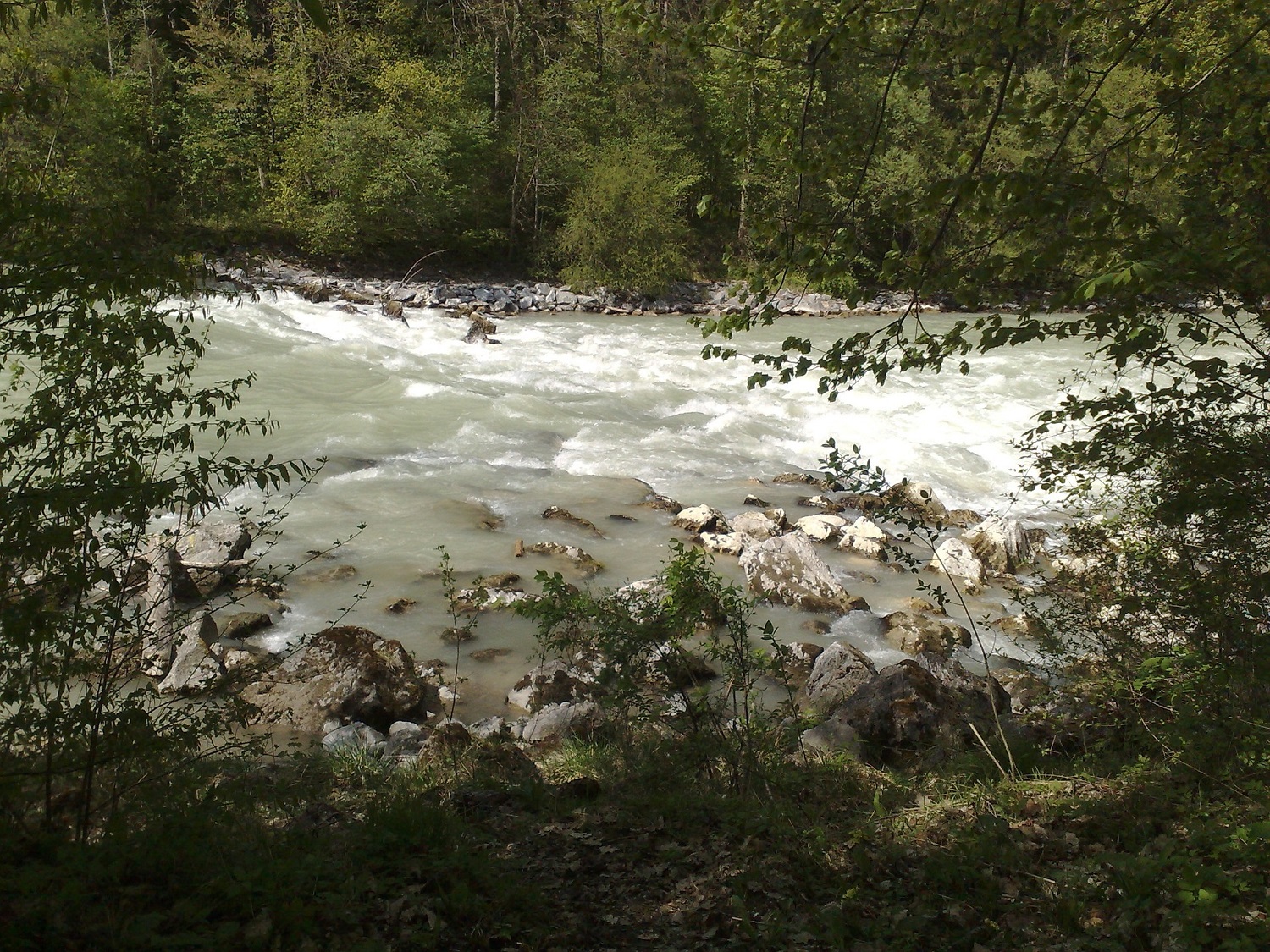 Rafting Saalach
