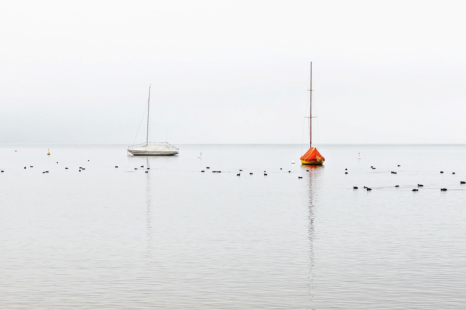SUP-Ammersee Eching