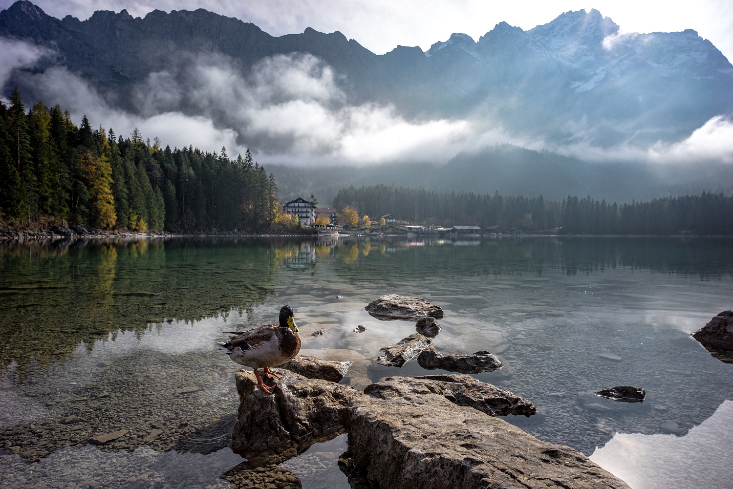 SUP-Eibsee Einstieg Wasserwacht