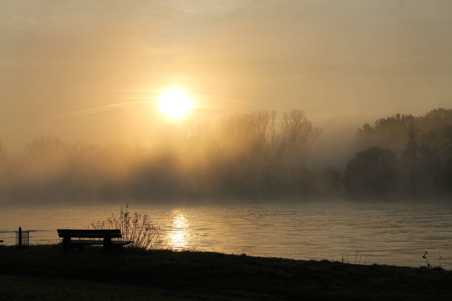 SUP-NRW Rhein