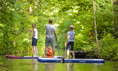 Stand-up-Paddling-Spreewald