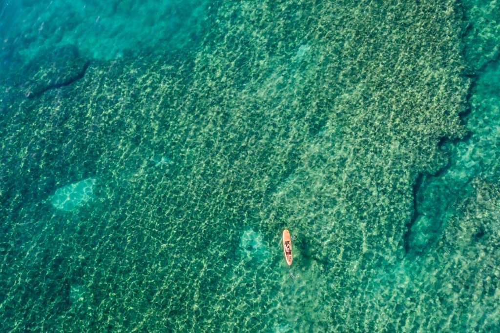 aqua-marina-coral-faq