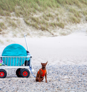 bollerwagen-strand-header