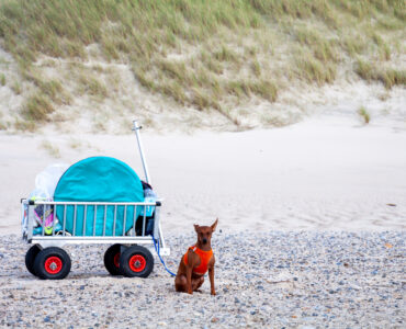 bollerwagen-strand-header