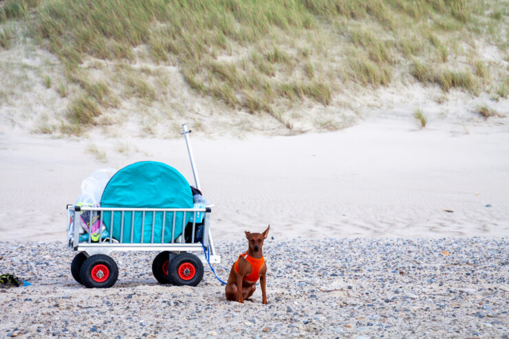 bollerwagen-strand-header