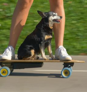 e-longboard-header