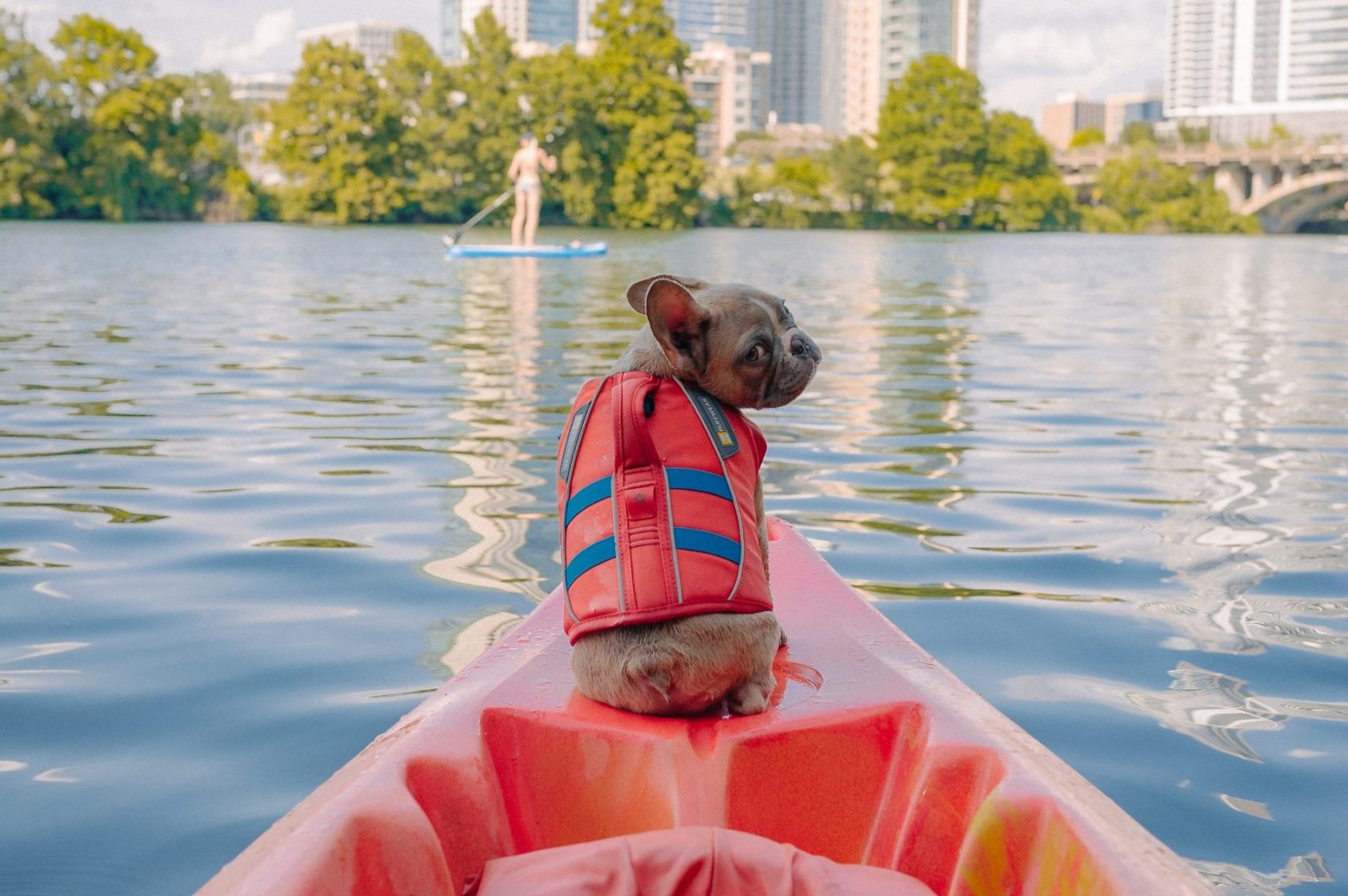 starkem Griff Rosa mit verstellbarem KOESON Hundeschwimmweste Schwimmweste für Haustiere XXL Rettungsweste für Welpen 
