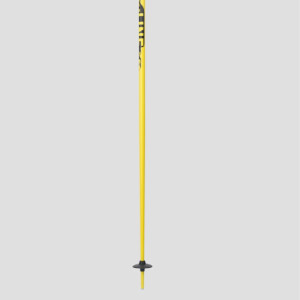 Line Pin 2024 Ski Poles