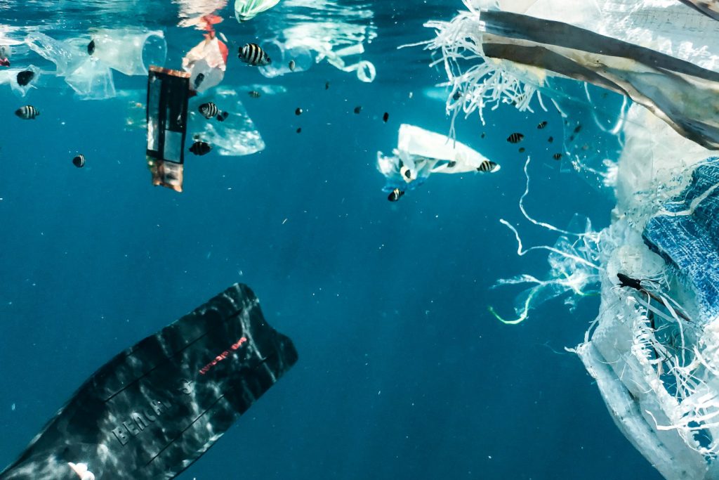 meeresverschmutzung-plastik-fakten-1024x683.jpg