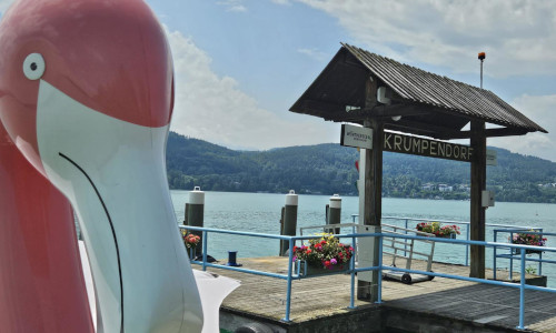 meet-boot-krumpendorf-2