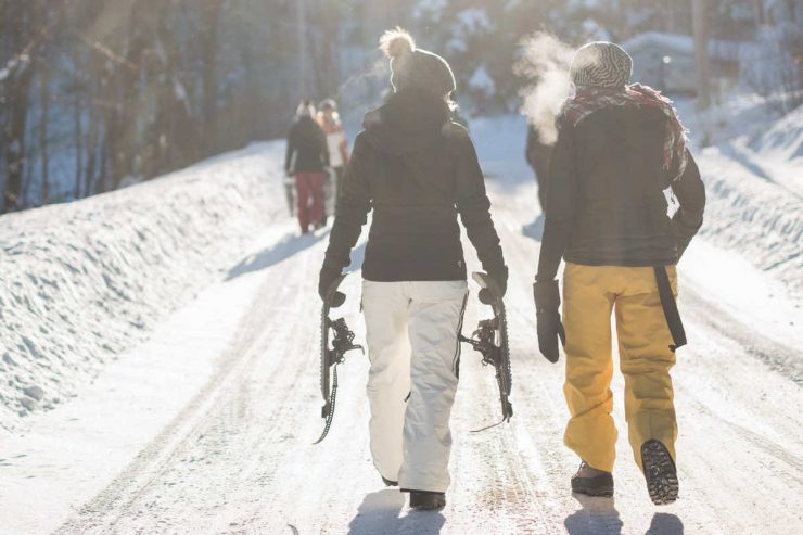 mini_ski