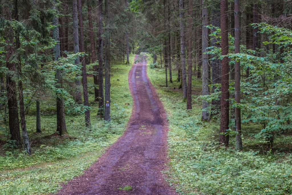 offroad-longboard-faq