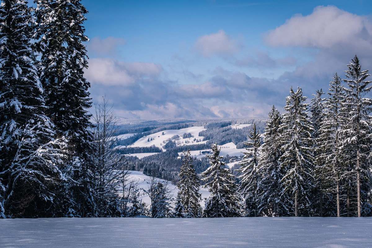 schneeschuhwandern_schwarzwald