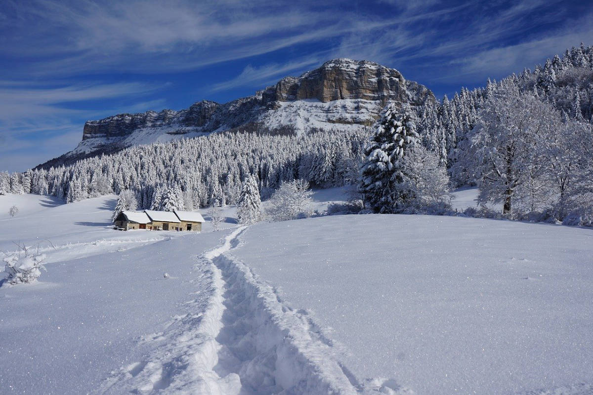 schneeschuhwandern_unterwegs