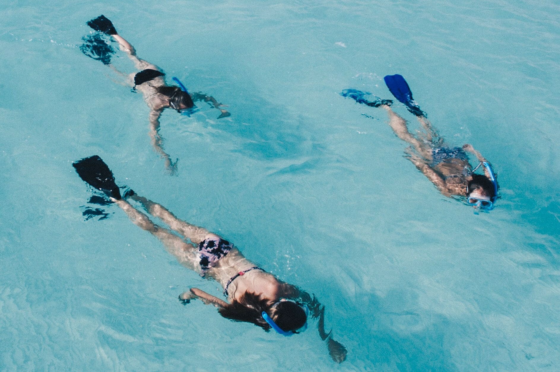 Schnorchelflossen Flossen Für Unisex Erwachsene Schwimmtraining Flossen 