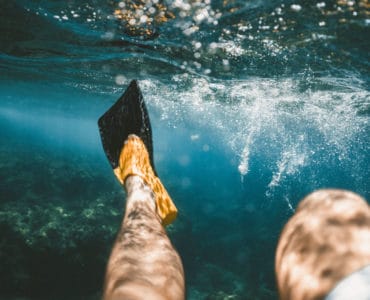 schwimmflossen_teaser