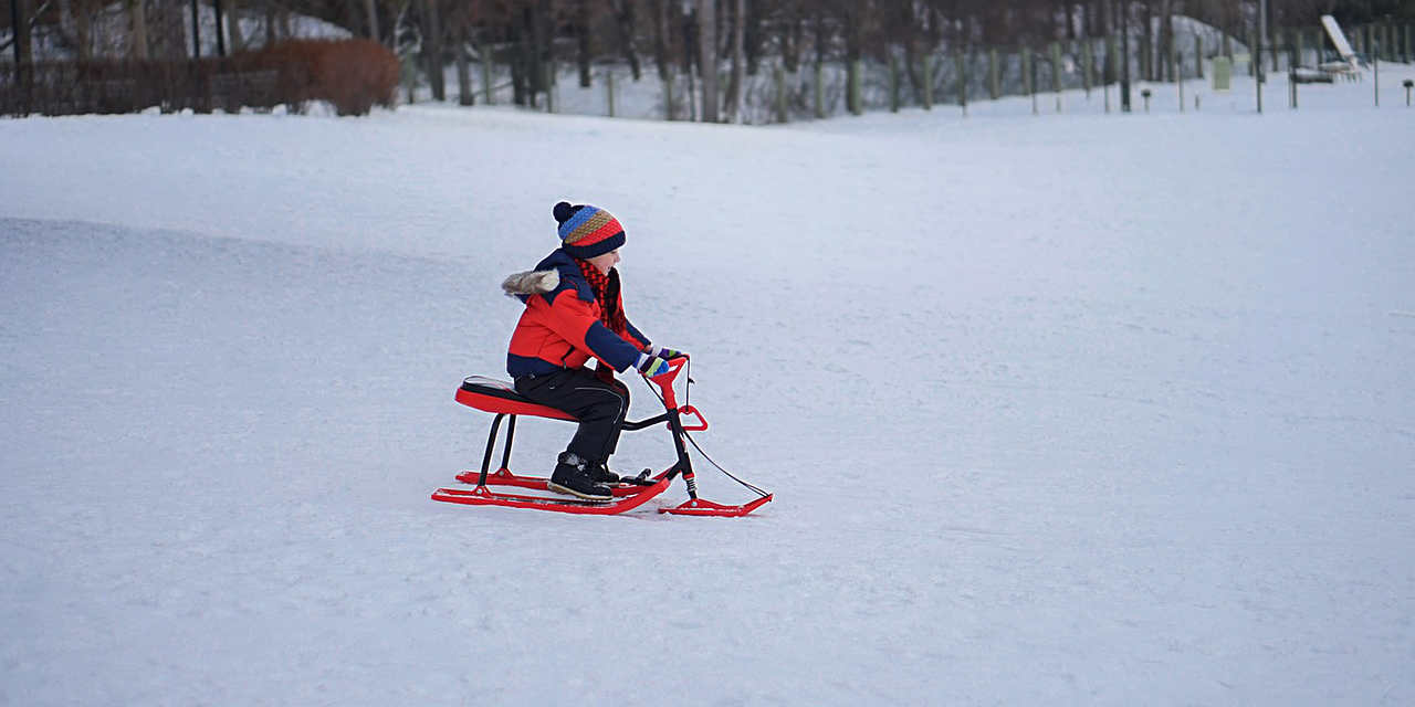 skibob-kaufen