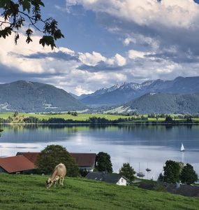 sup-allgaeu forggensee