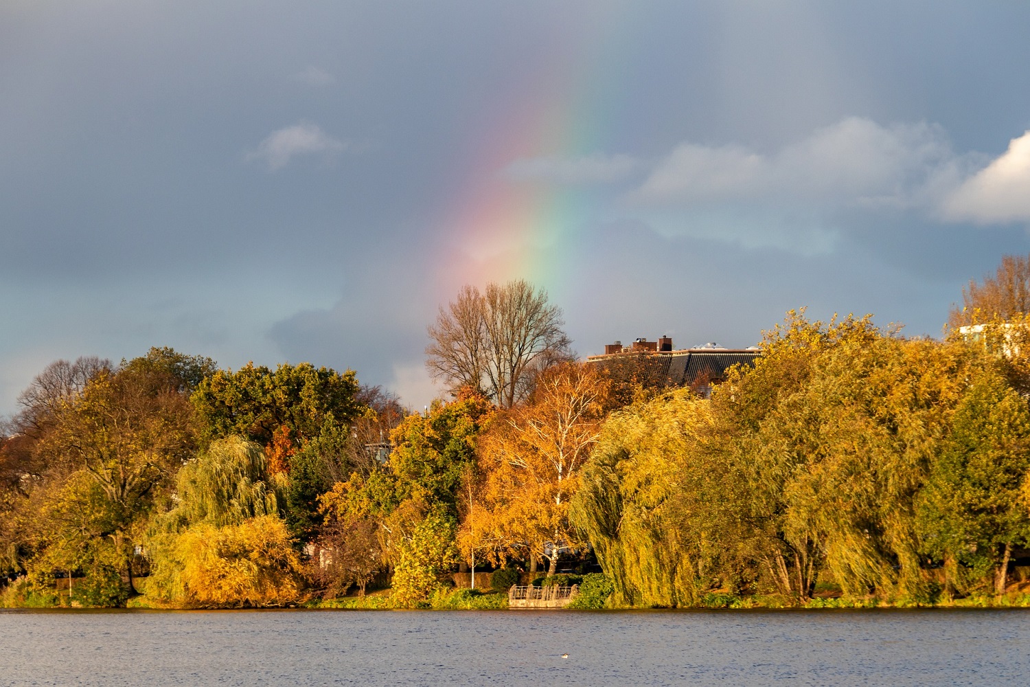 sup-alster Bebelalle