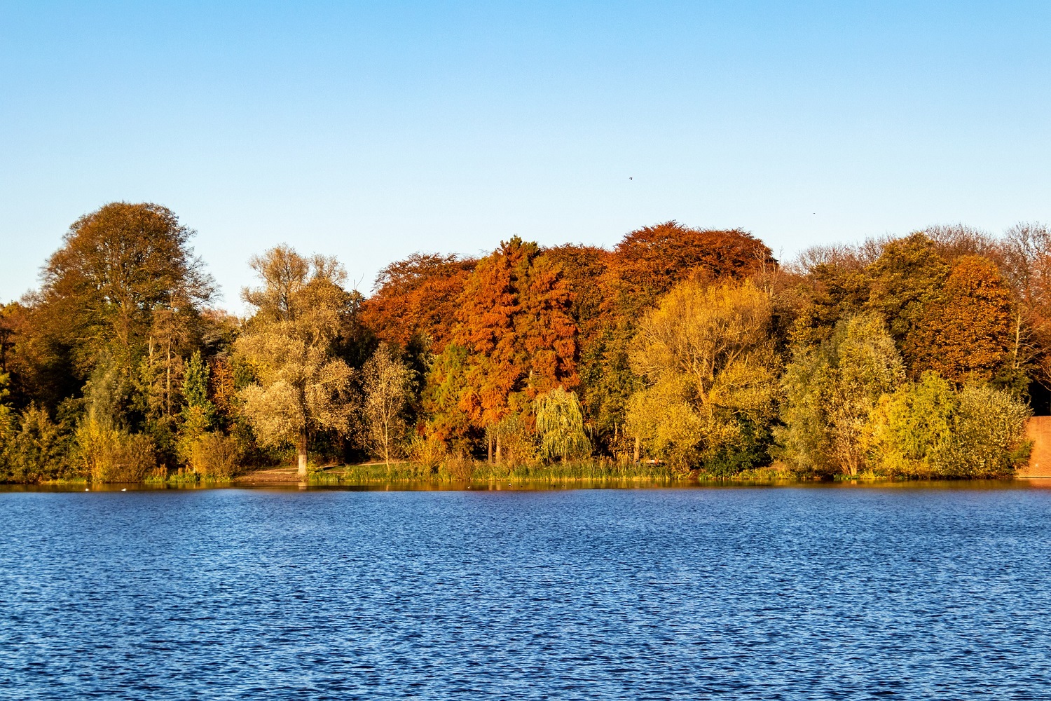 sup-alster alsterwiese