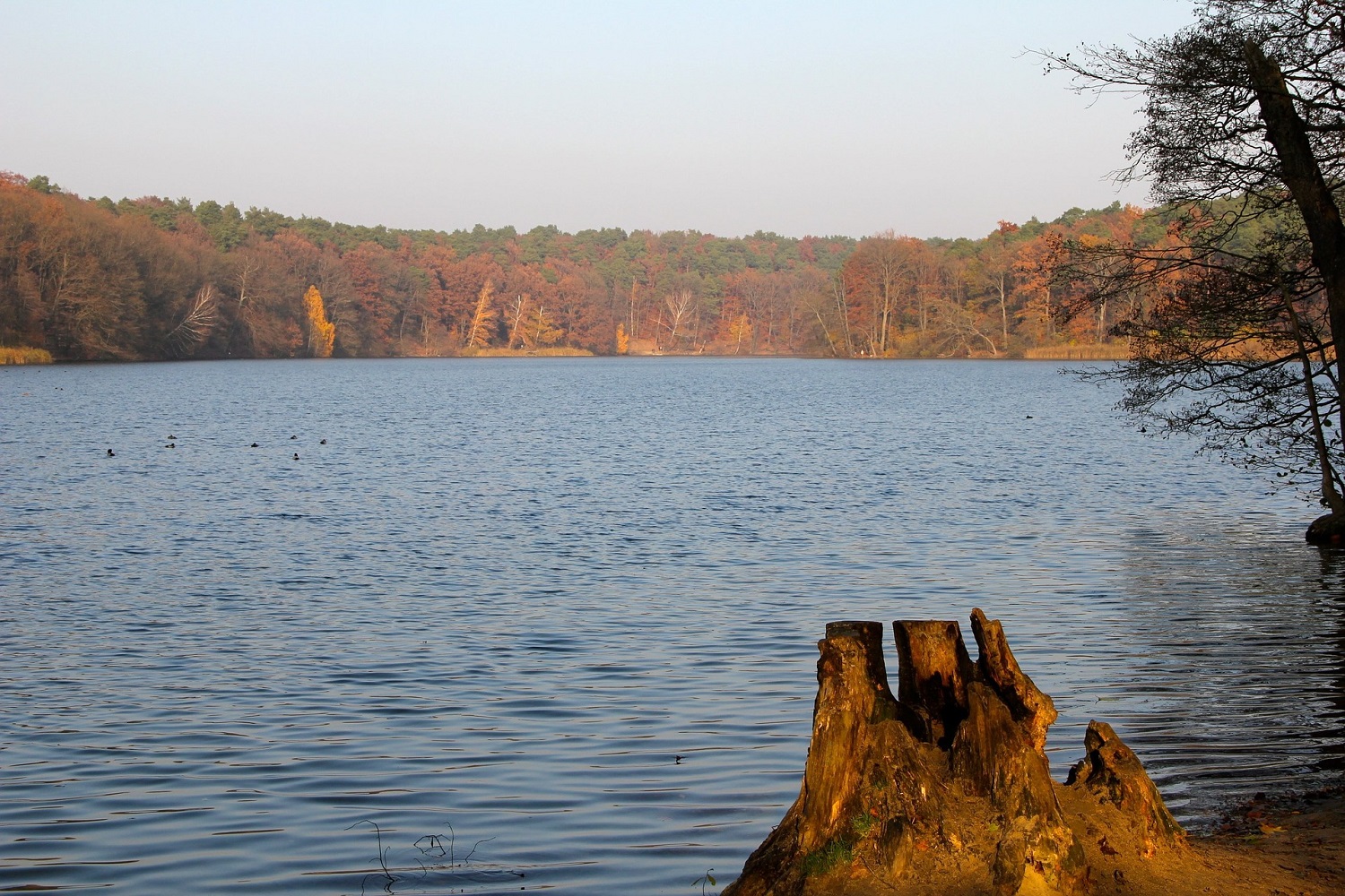 sup-berlin schlachtensee