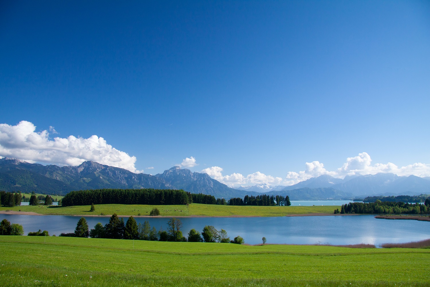 sup-forggensee Runde