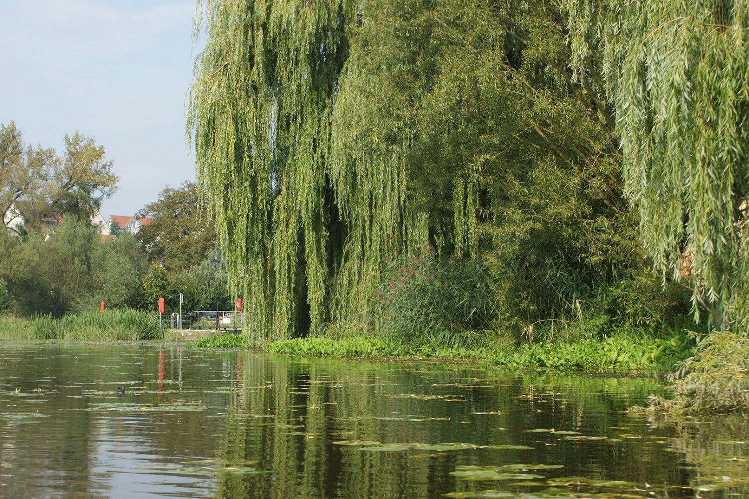 sup-hessen guxhagen