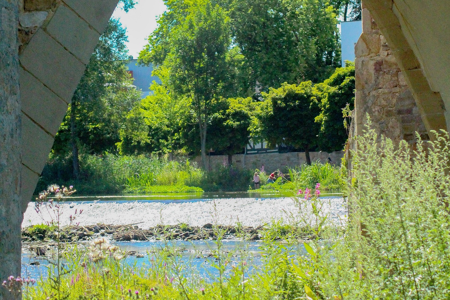 sup-hessen melsungen