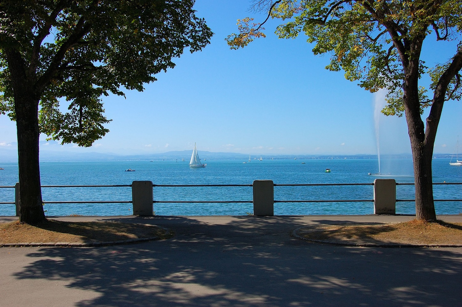 sup-konstanz nach allensbach