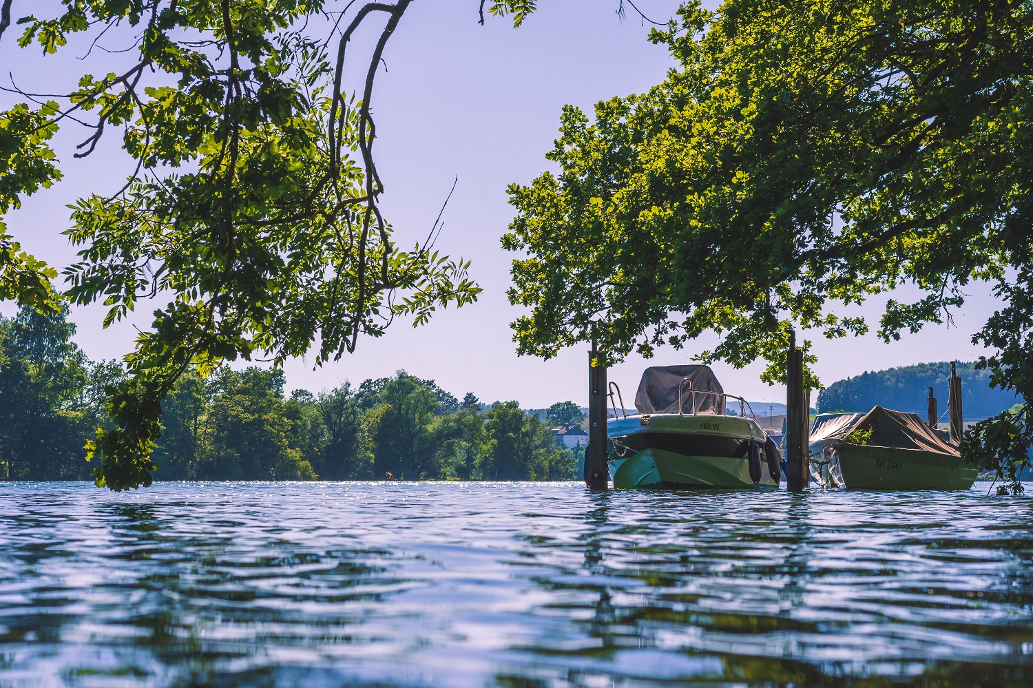 sup-mainz altrhein