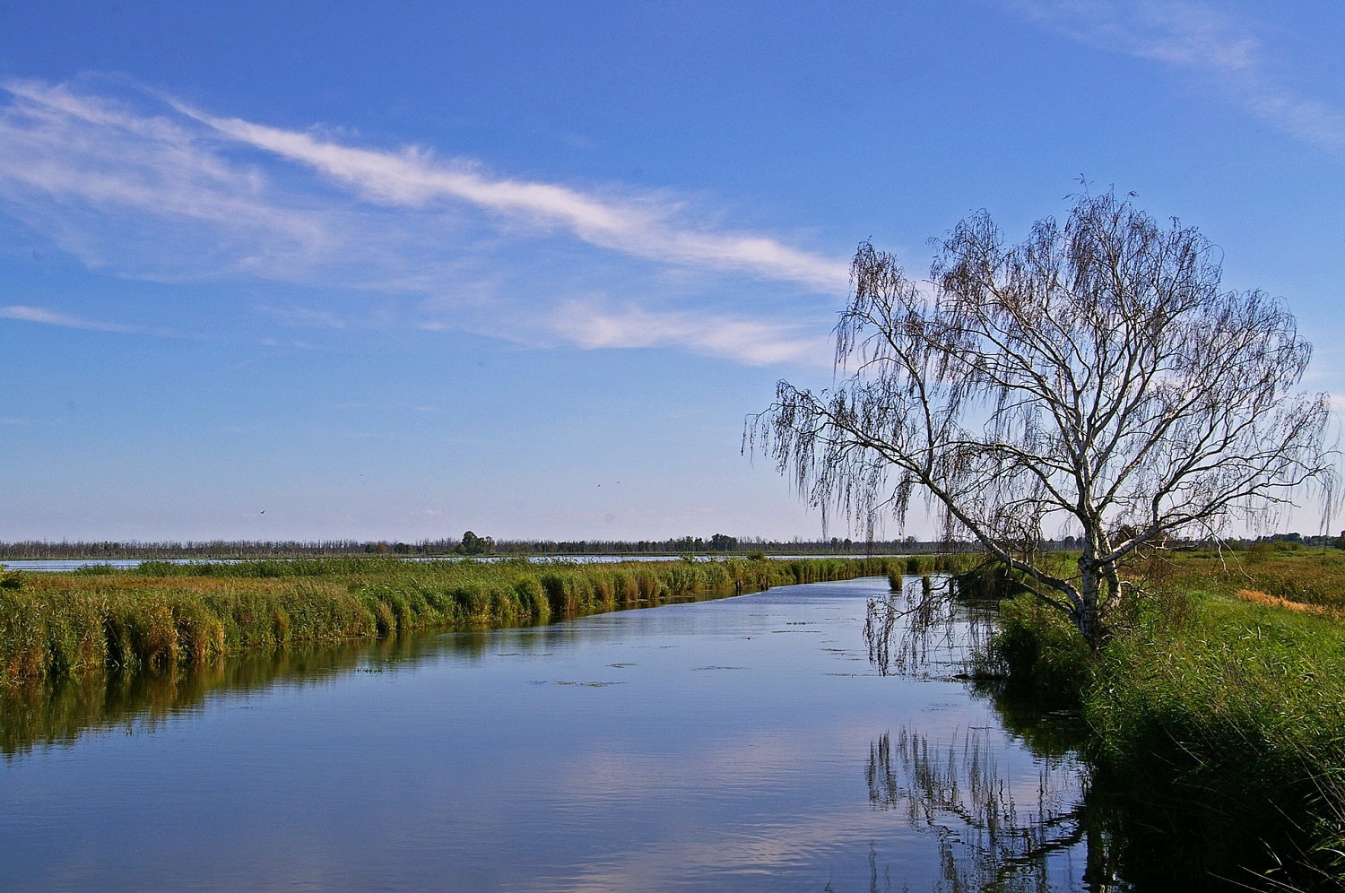 sup-meckpom Anklam