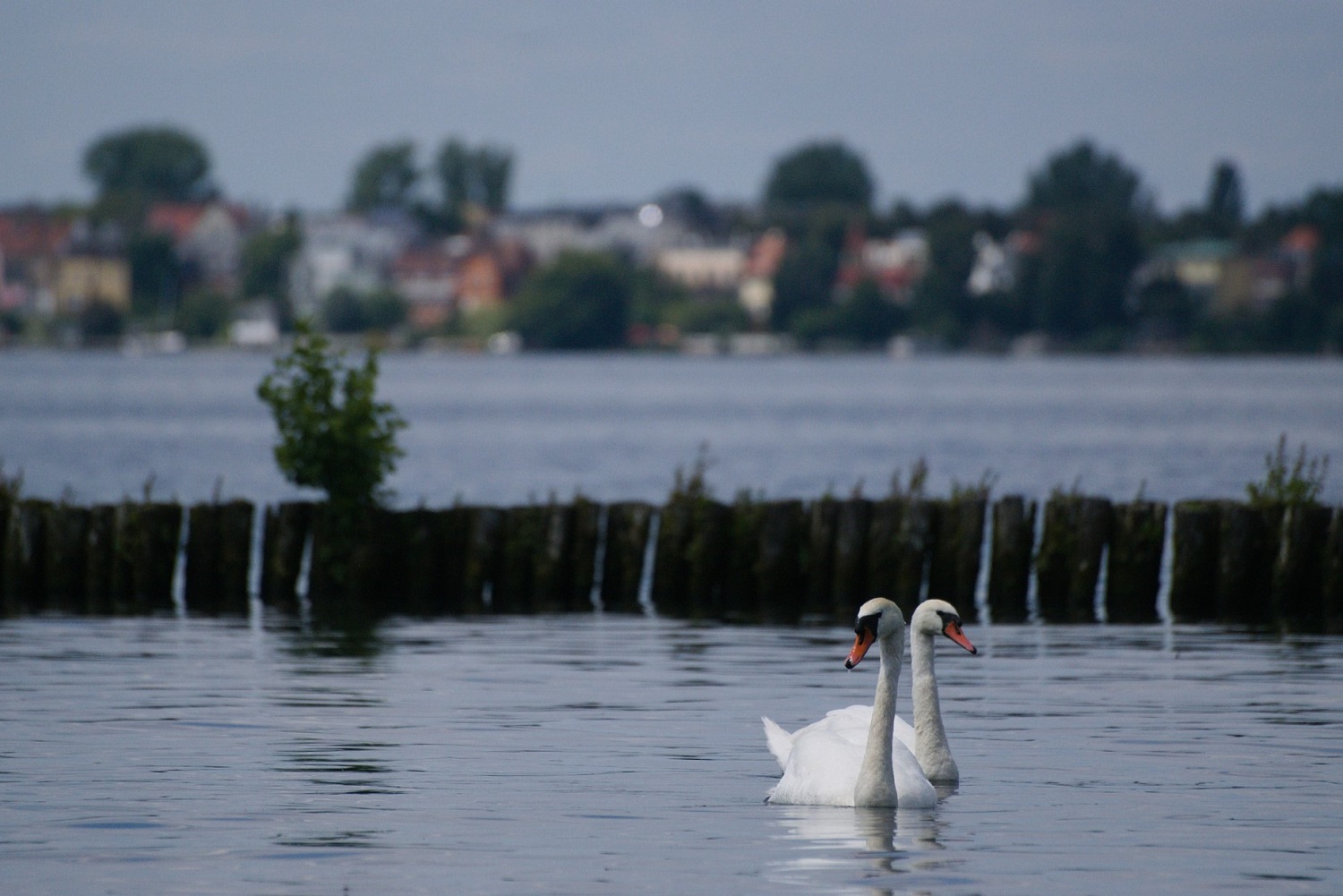 sup-mueggelsee runde