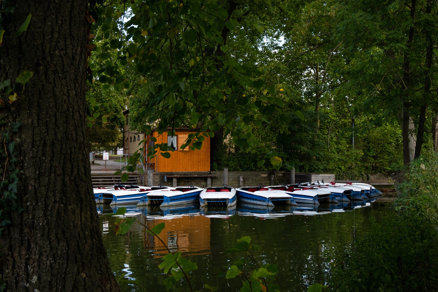 sup-neckar