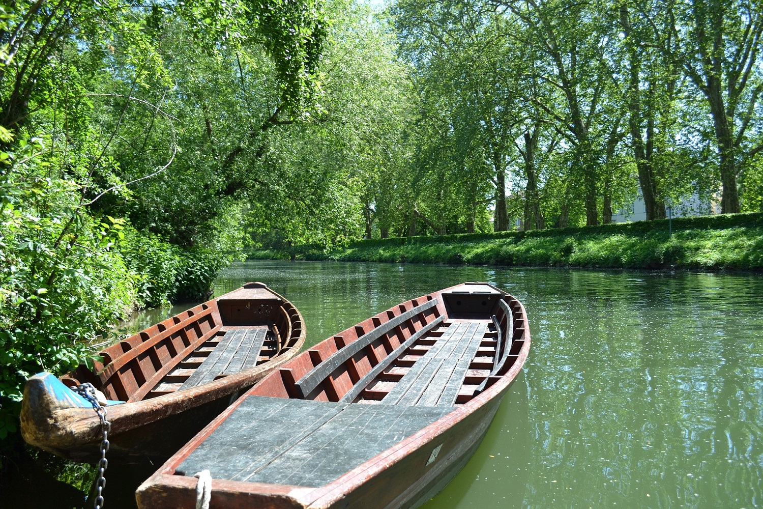 sup-neckar