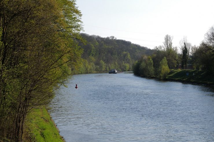 sup-neckar beitragsbild