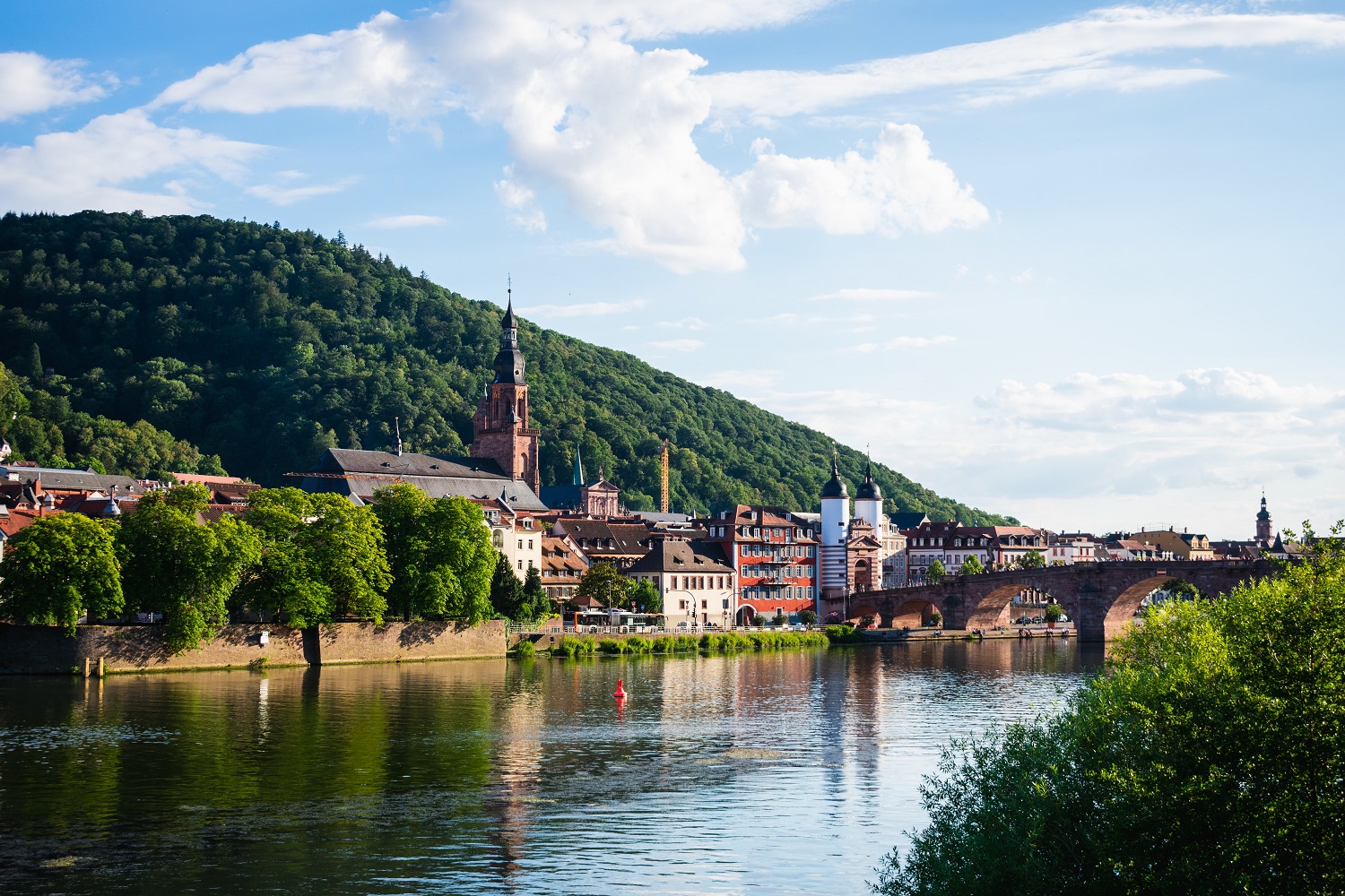 sup-neckar heidelberg