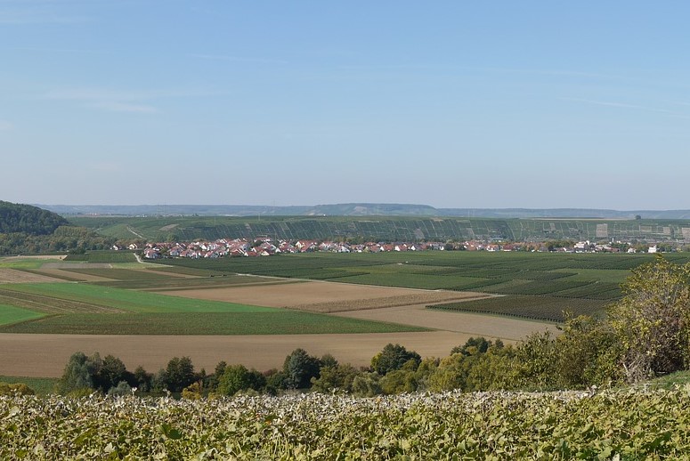sup-neckar lauffen