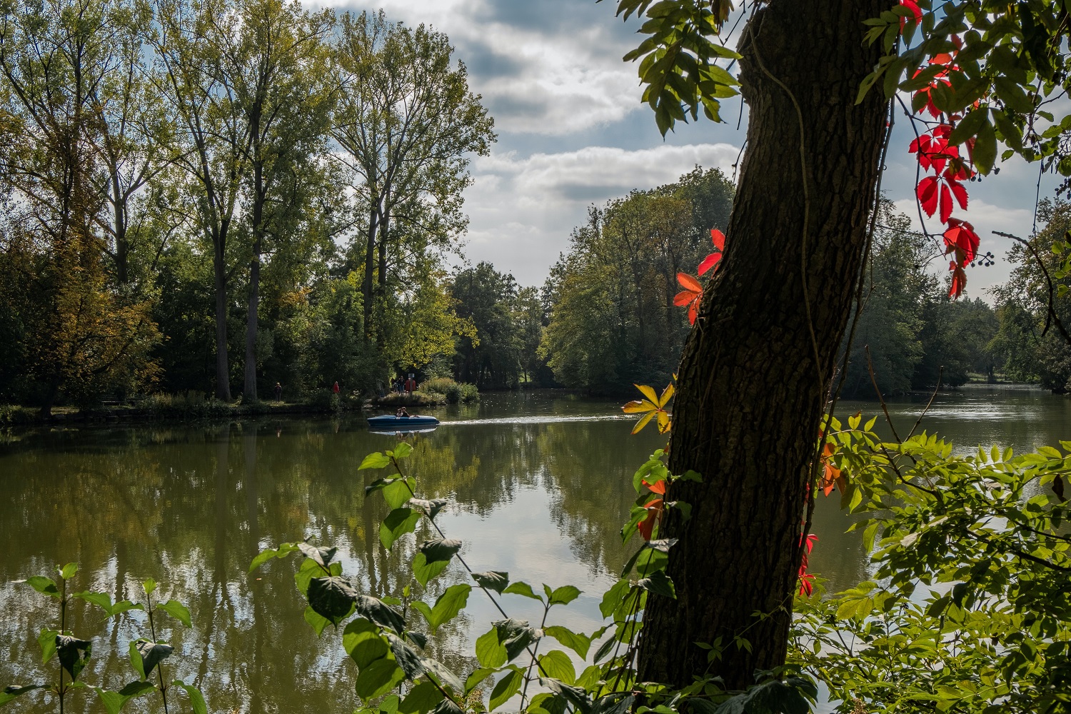 sup-neckar ludwigsburg