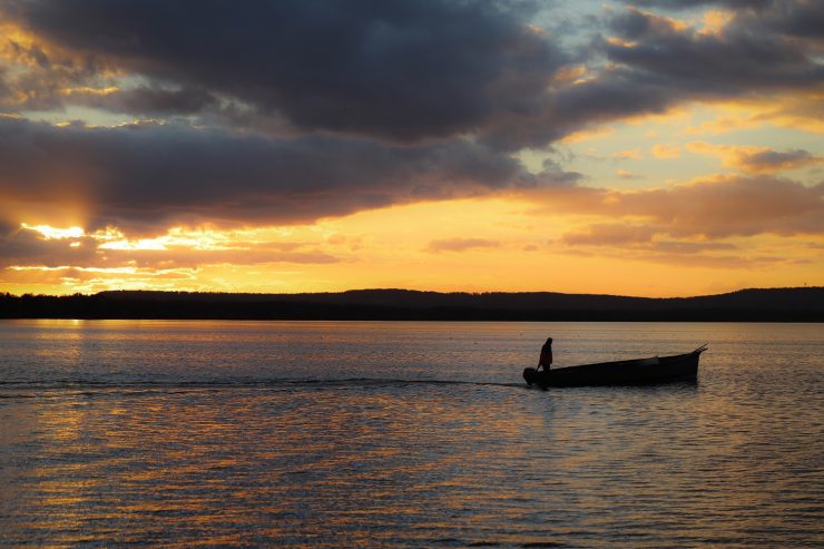 sup-niedersachsen Steinhuder Meer