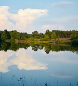 sup-niedersachsen beitragsbild