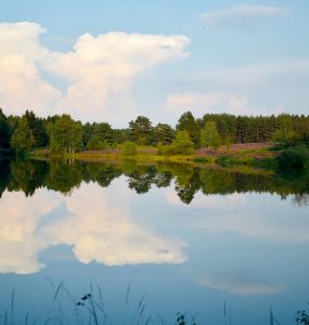 sup-niedersachsen beitragsbild