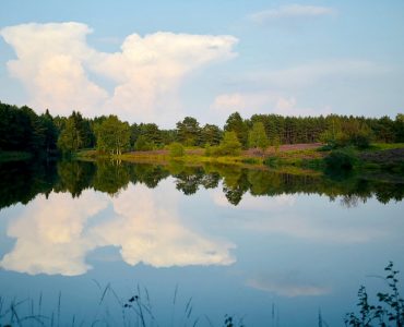 sup-niedersachsen beitragsbild