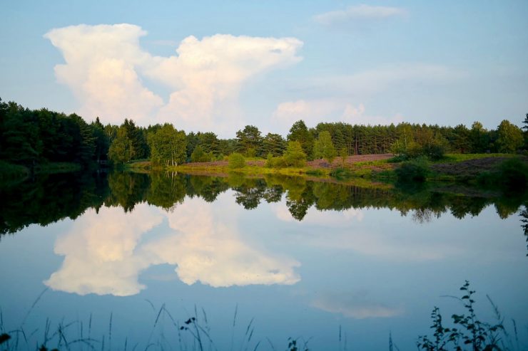 sup-niedersachsen beitragsbild