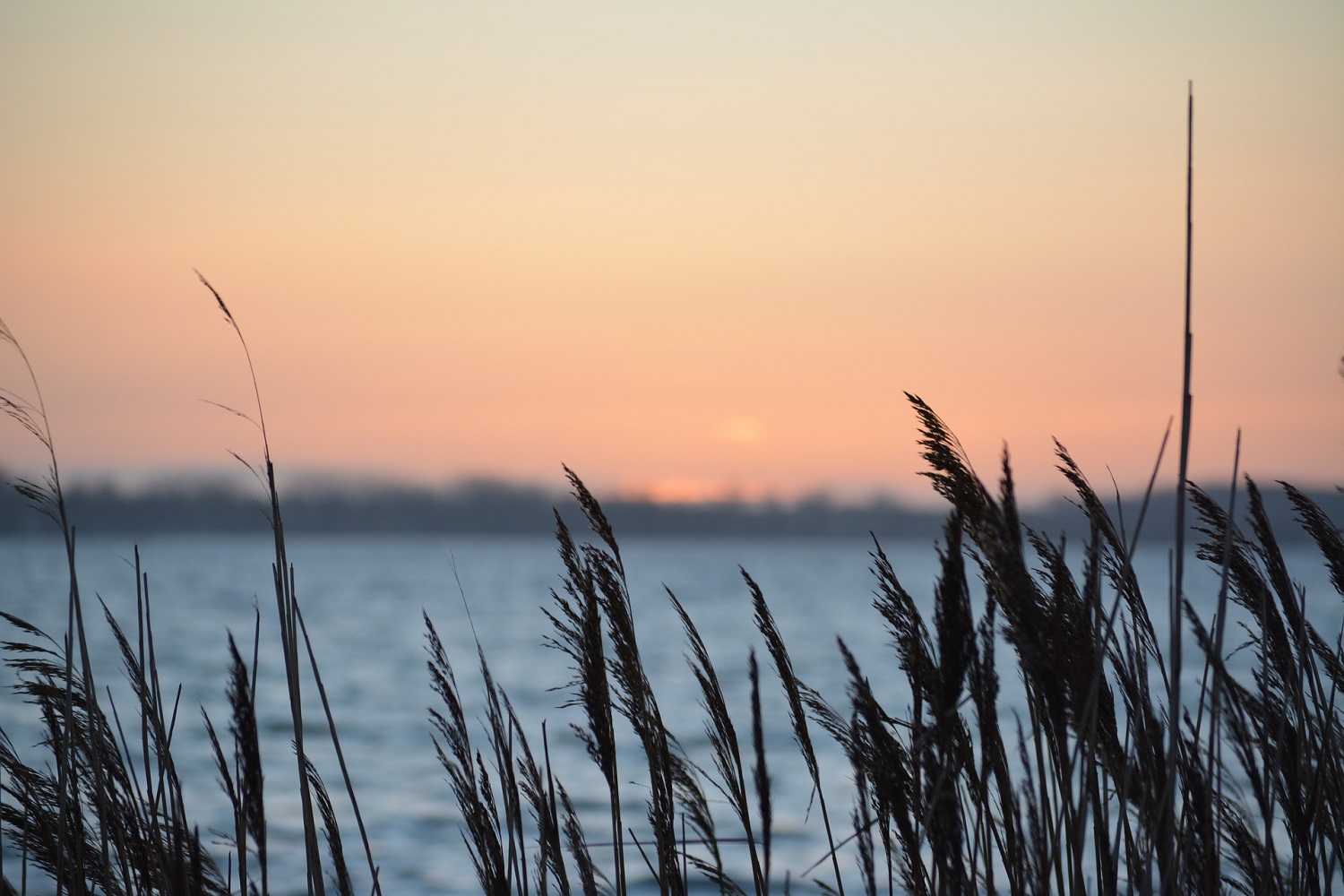 sup-ostsee fehmarn