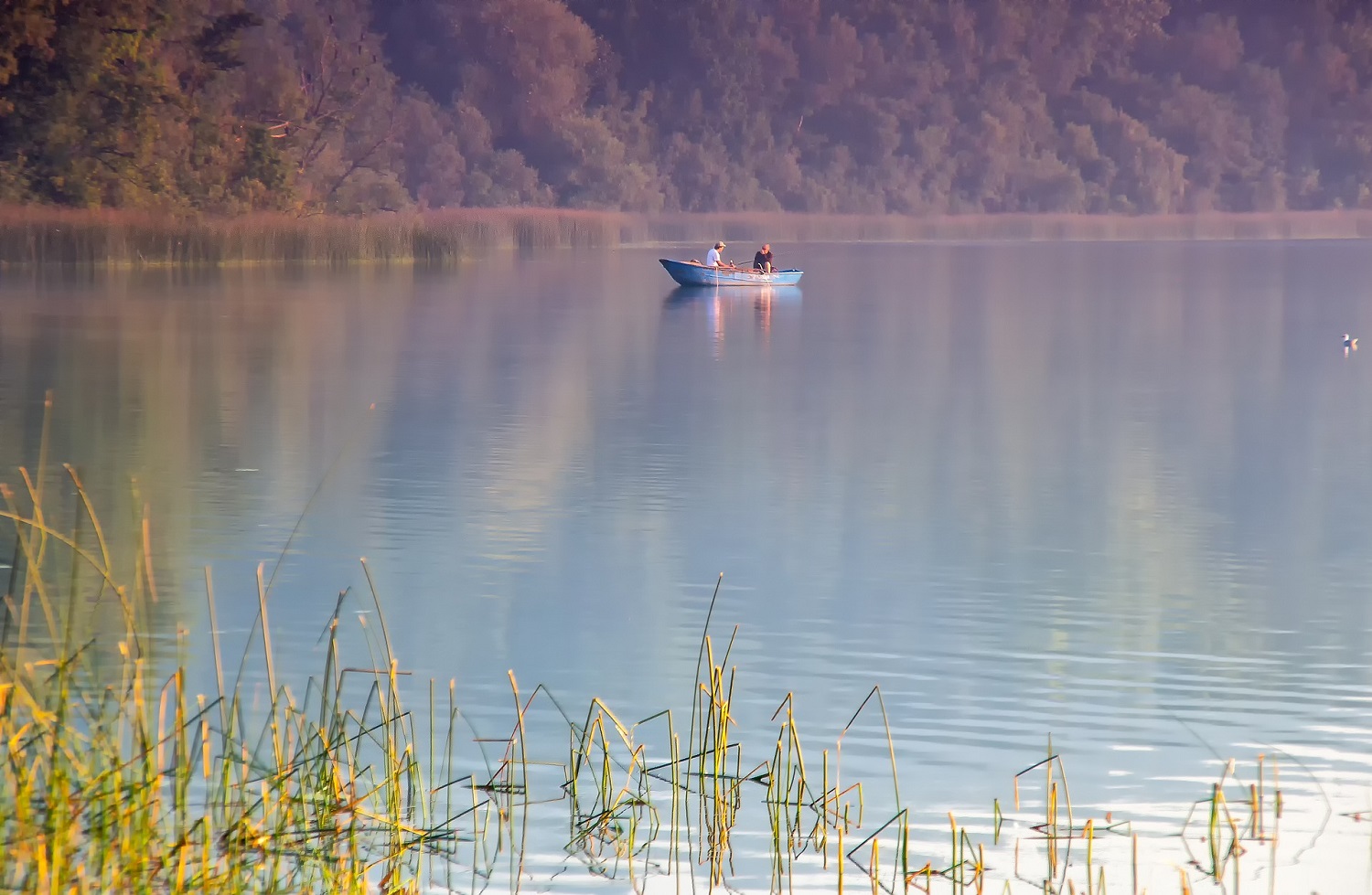 sup-rheinland-pfalz stausee