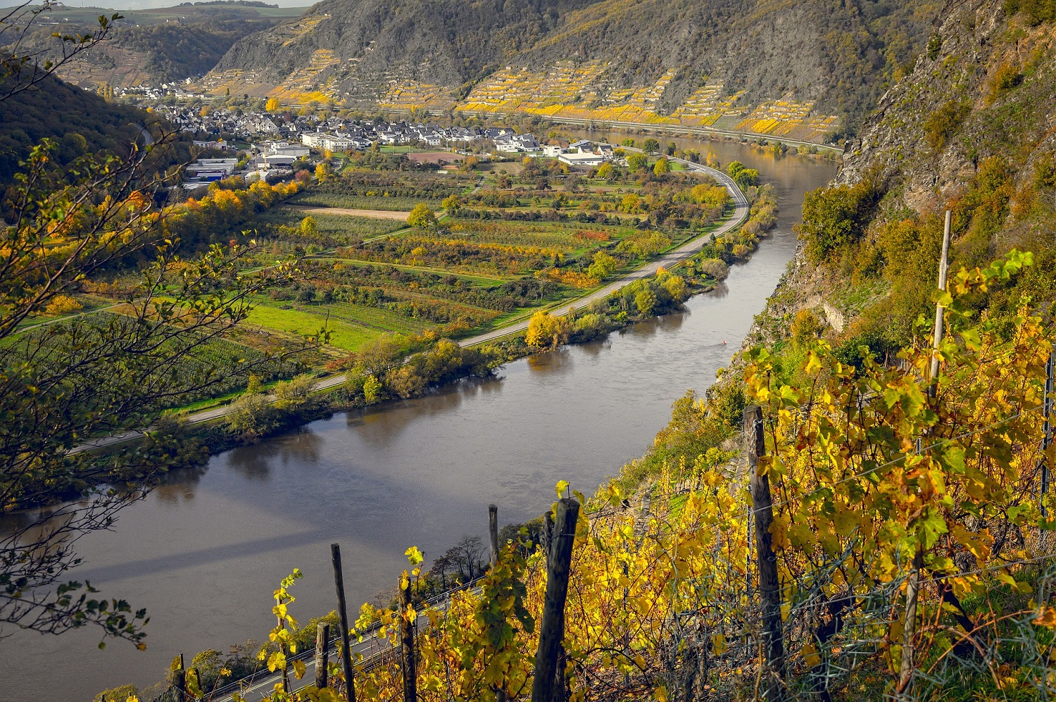 sup-rheinland-pfalz traben